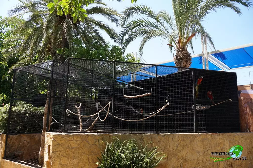 Ara im Marineland Mallorca - 2022