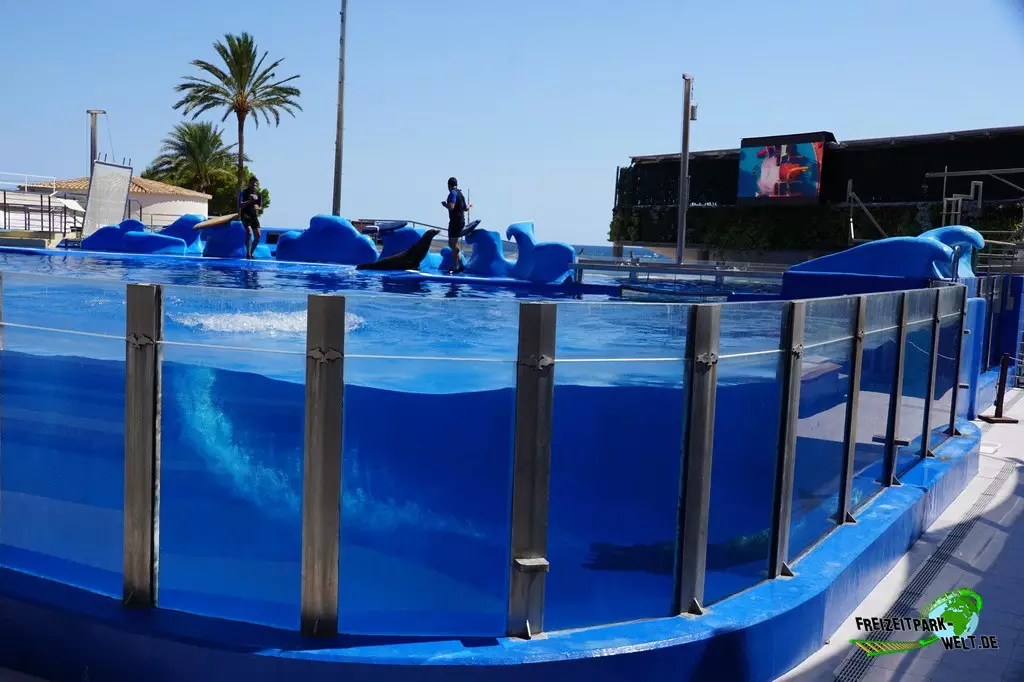 Delfinshow im Marineland Mallorca - 2022
