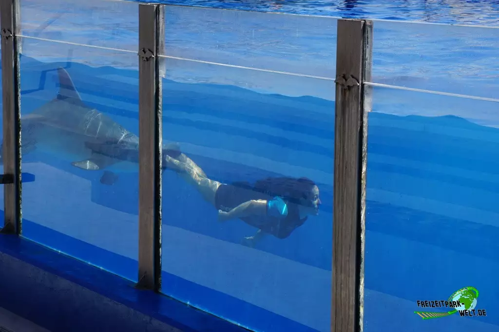 Delfinshow im Marineland Mallorca - 2022