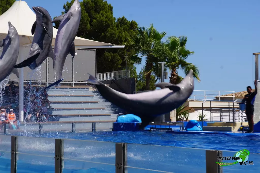 Delfinshow im Marineland Mallorca - 2022