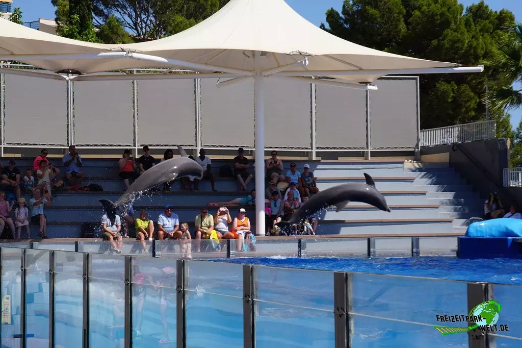 Delfinshow im Marineland Mallorca - 2022