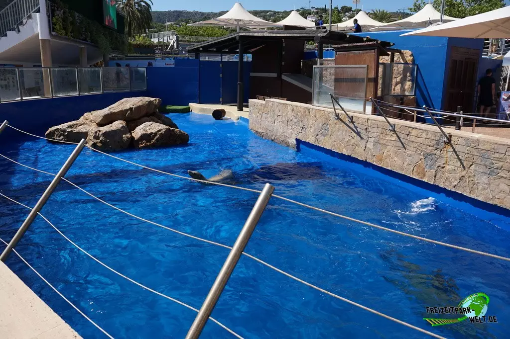 Seelöwenshow im Marineland Mallorca - 2022