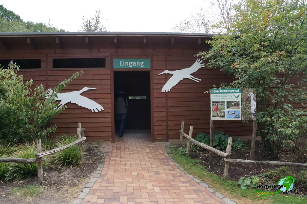 Weißstorch im NaturZoo Rheine - 2019
