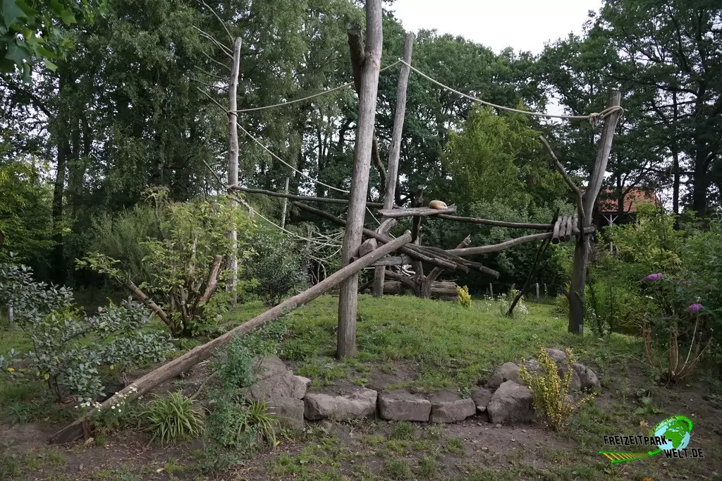 Nasenbär im NaturZoo Rheine - 2019