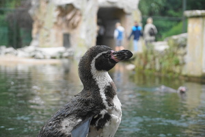 Mini-Galerie NaturZoo Rheine Foto 6