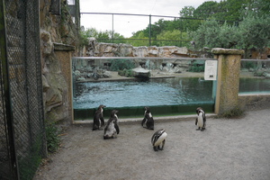 Mini-Galerie NaturZoo Rheine Foto 7