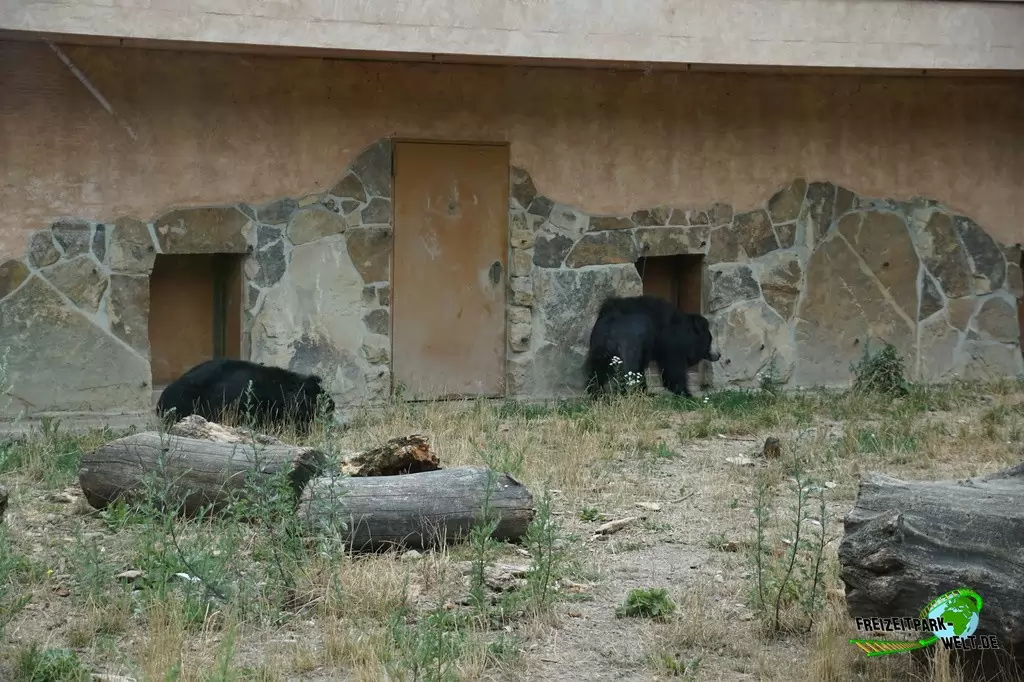 Lippenbär im NaturZoo Rheine - 2019