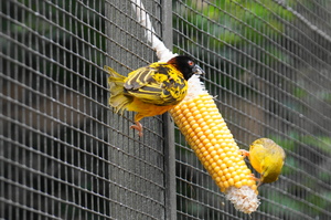 Mini-Galerie NaturZoo Rheine Foto 11