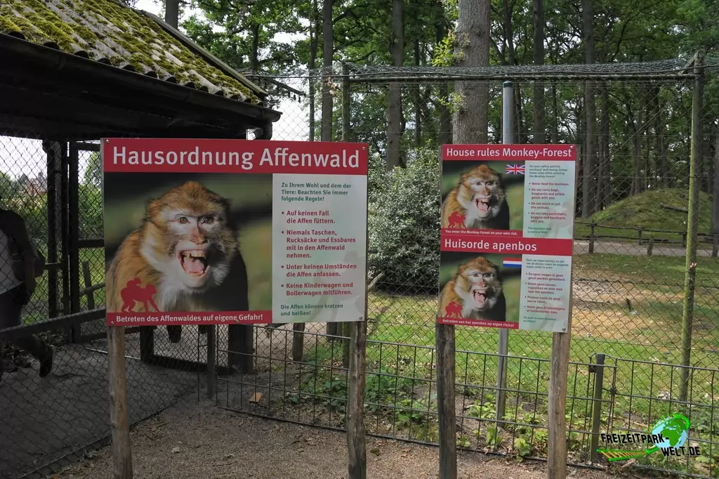 Berberaffen im NaturZoo Rheine - 2019