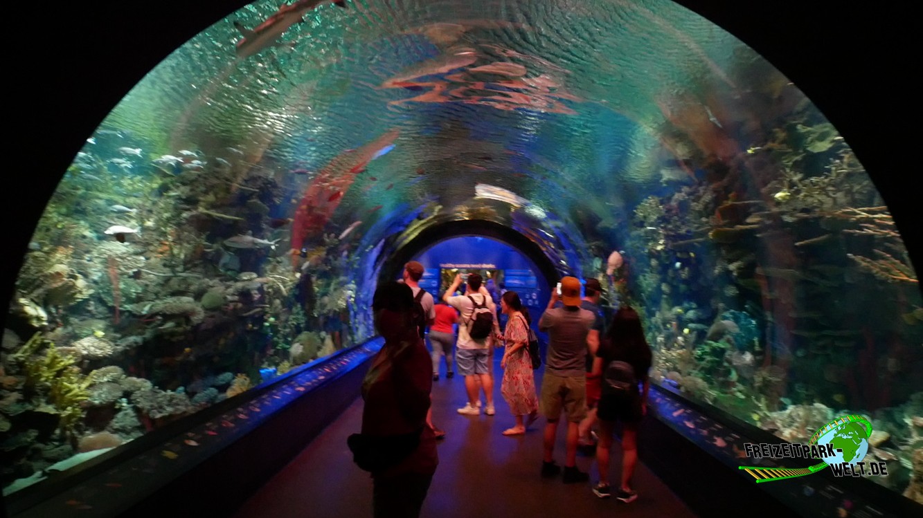 Ein Tag im New York Aquarium New York Aquarium