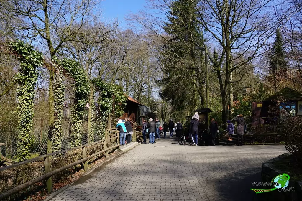 Luchs im Heimat-Tierpark Olderdissen - 2016: Linke Seite: Luchsgehege mit Aussichtsplattform