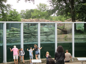 Teaserfoto Ouwehands Dierenpark