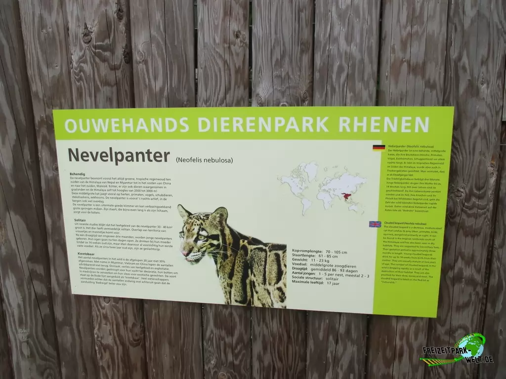 Nebelparder im Ouwehands Dierenpark - 2018: schöne mehrsprachige Schautafeln