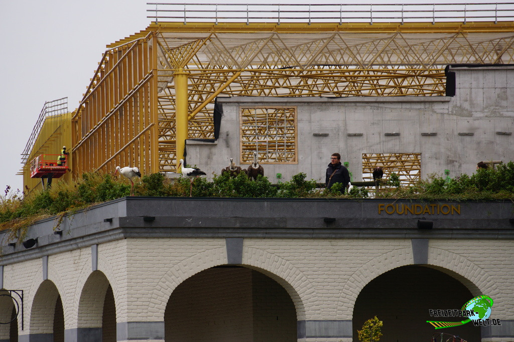 Edenya - Pairi Daiza