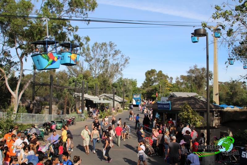 Skyfari im San Diego Zoo - 2015