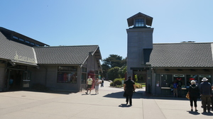 Teaserfoto San Francisco Zoo