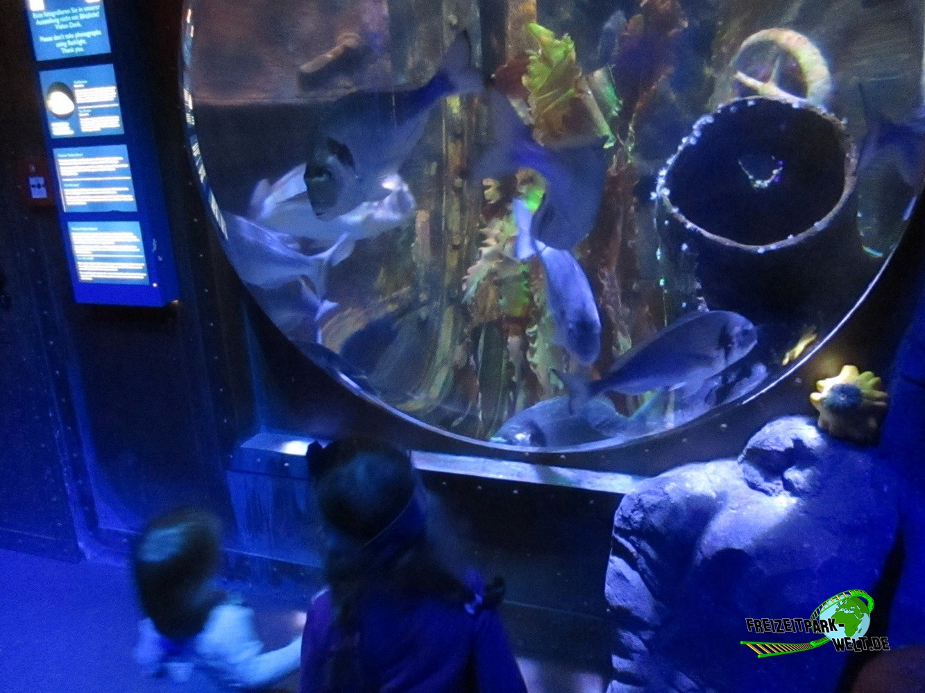 Foto Galerie 2015 - SEA LIFE Königswinter | Freizeitpark-Welt.de