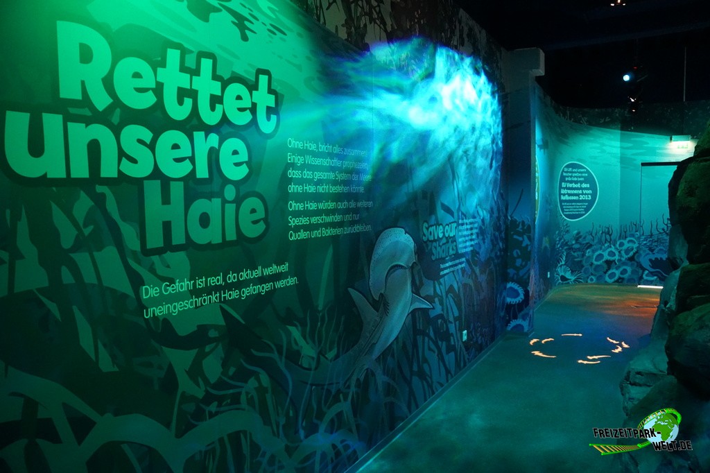 Haiaufzuchtstation - SEA LIFE Oberhausen