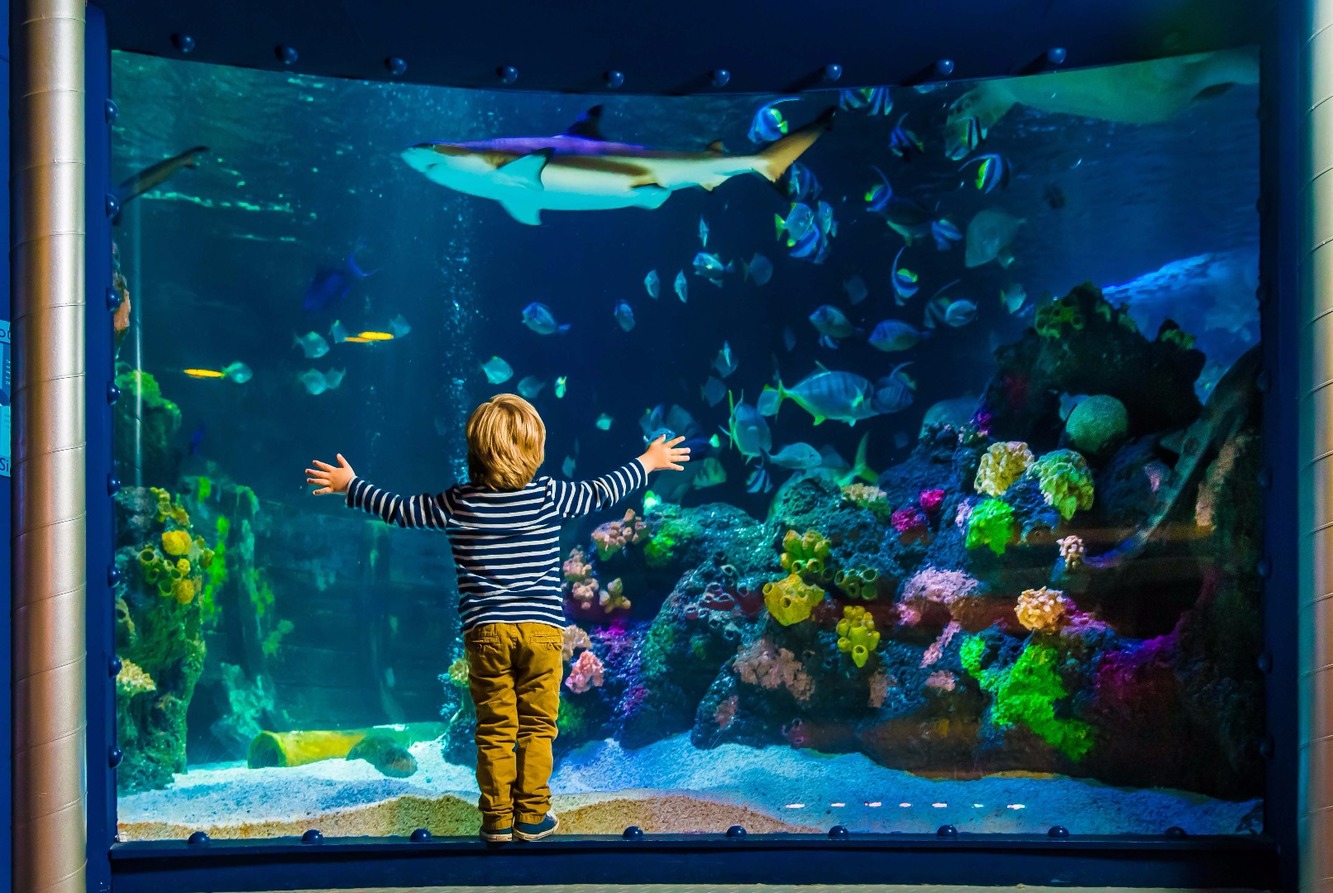 News Und Events SEA LIFE Speyer Freizeitpark Welt de