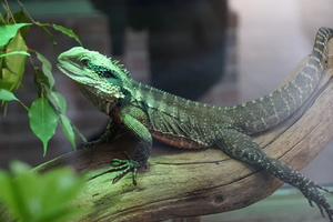 Teaserfoto TerraZoo Rheinberg