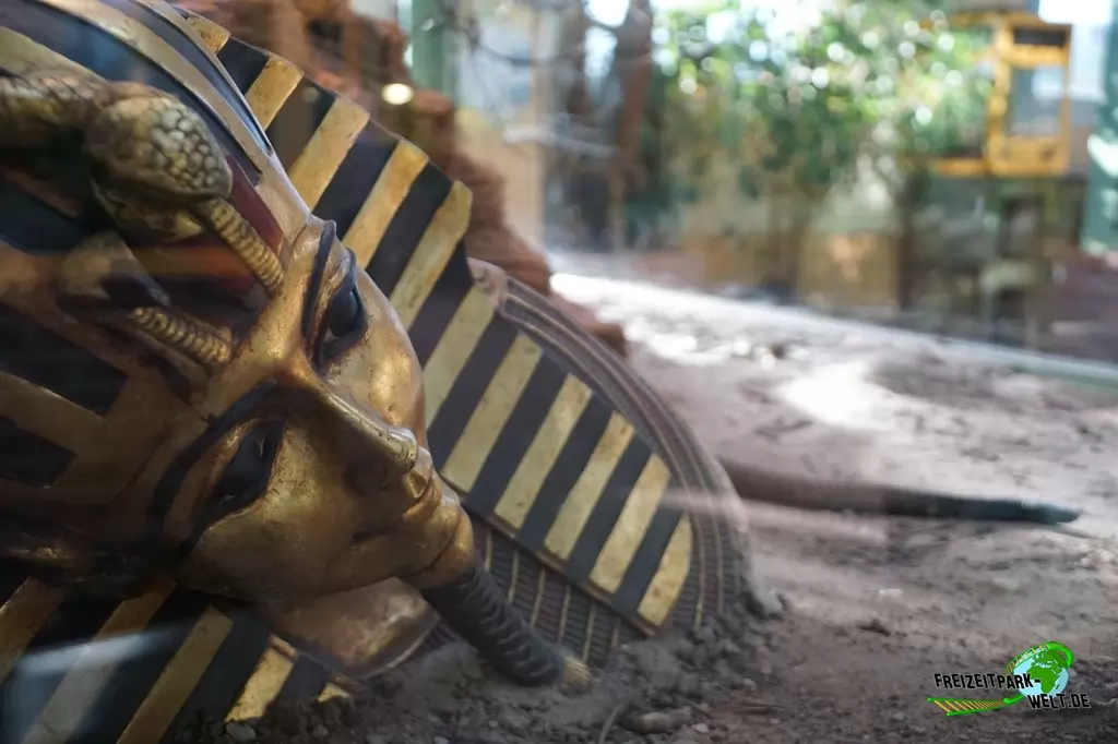 Arabische Kobra im TerraZoo Rheinberg - 2017
