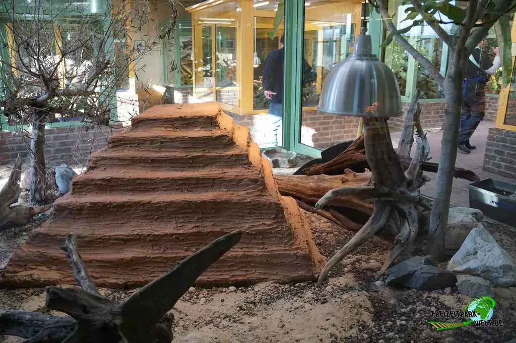 Arabische Kobra im TerraZoo Rheinberg - 2017