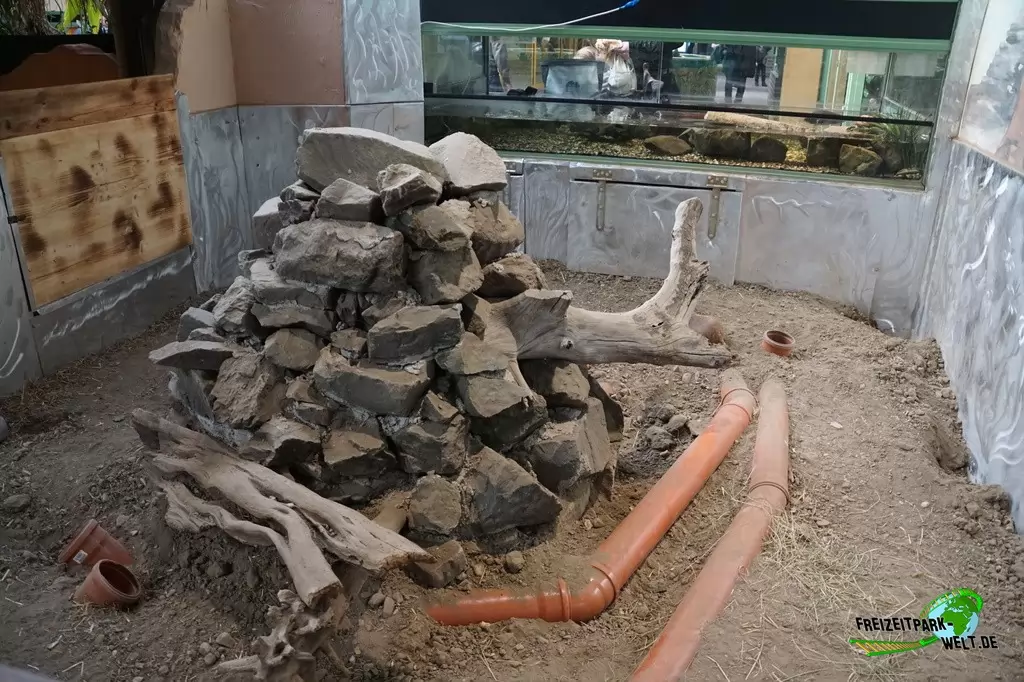 Präriehund im TerraZoo Rheinberg - 2017