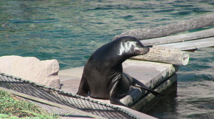 Tiergarten Nürnberg - Highlights & Tipps zum Besuch | Freizeitpark-Welt.de
