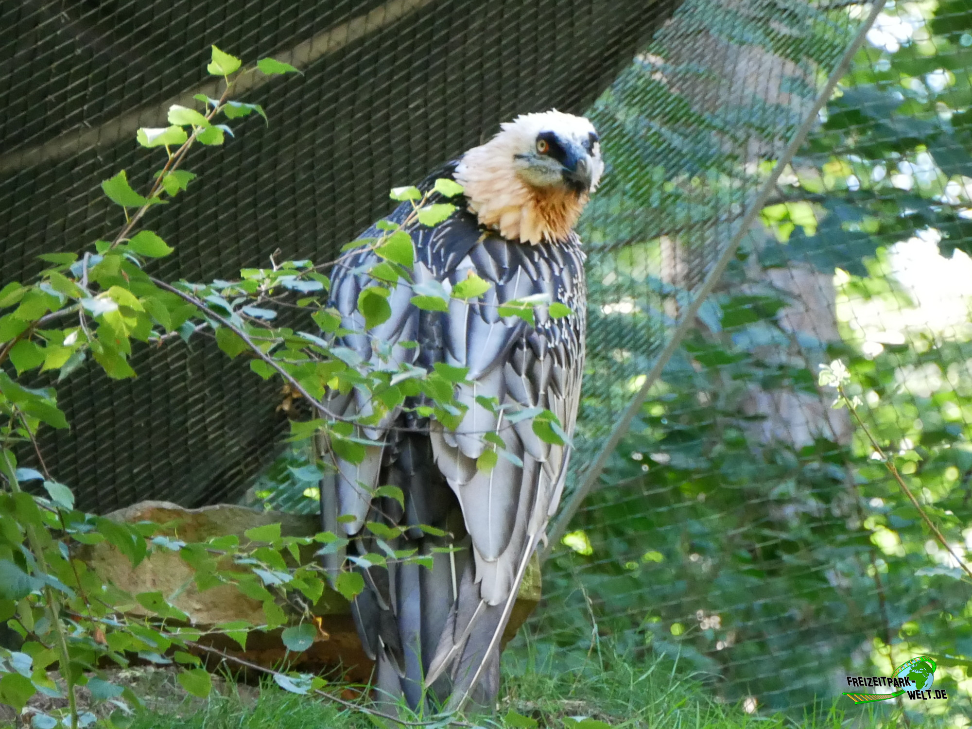 Foto Galerien - Tiergarten Nürnberg | Freizeitpark-Welt.de