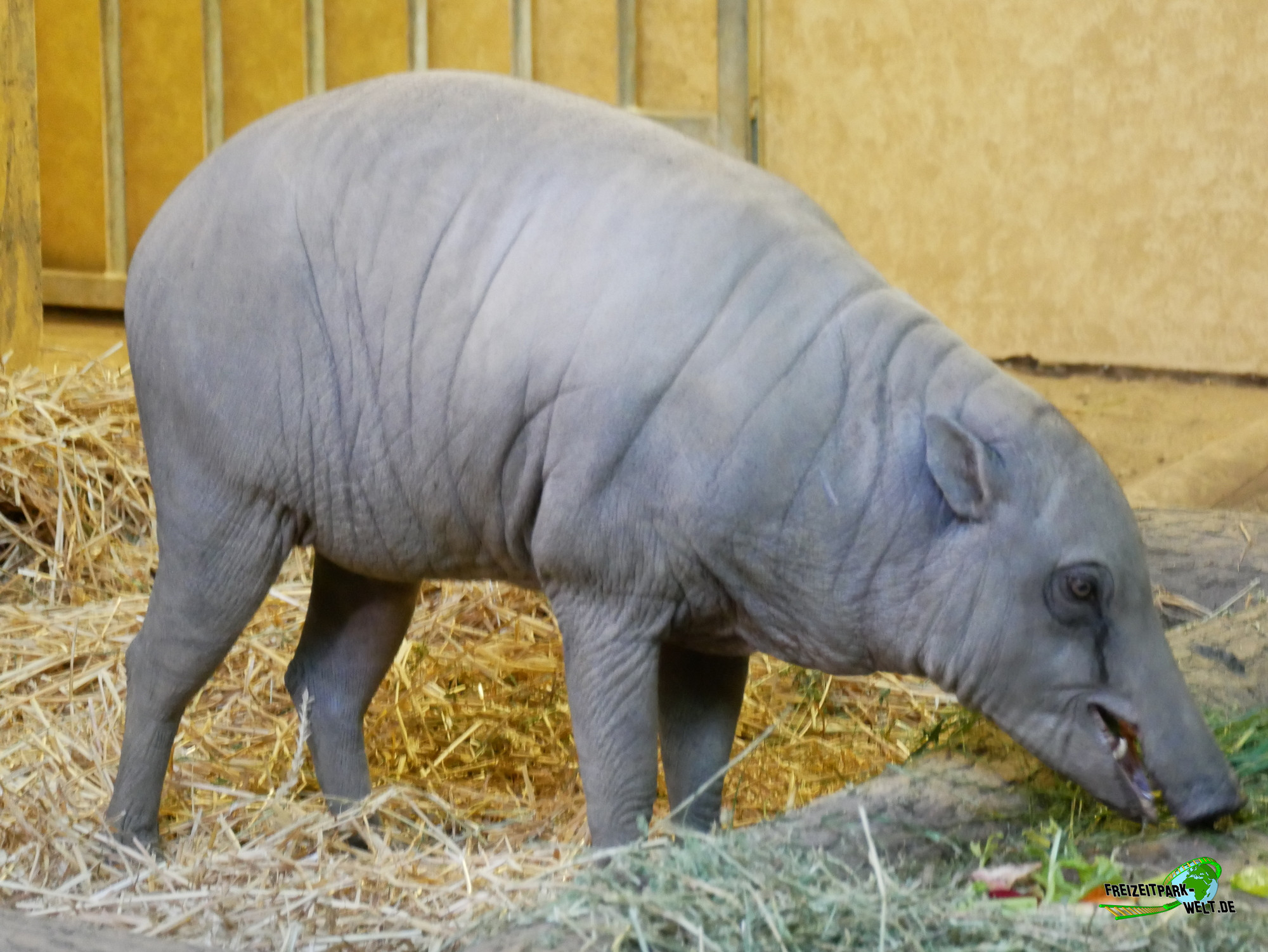 Foto Galerien - Tiergarten Nürnberg | Freizeitpark-Welt.de