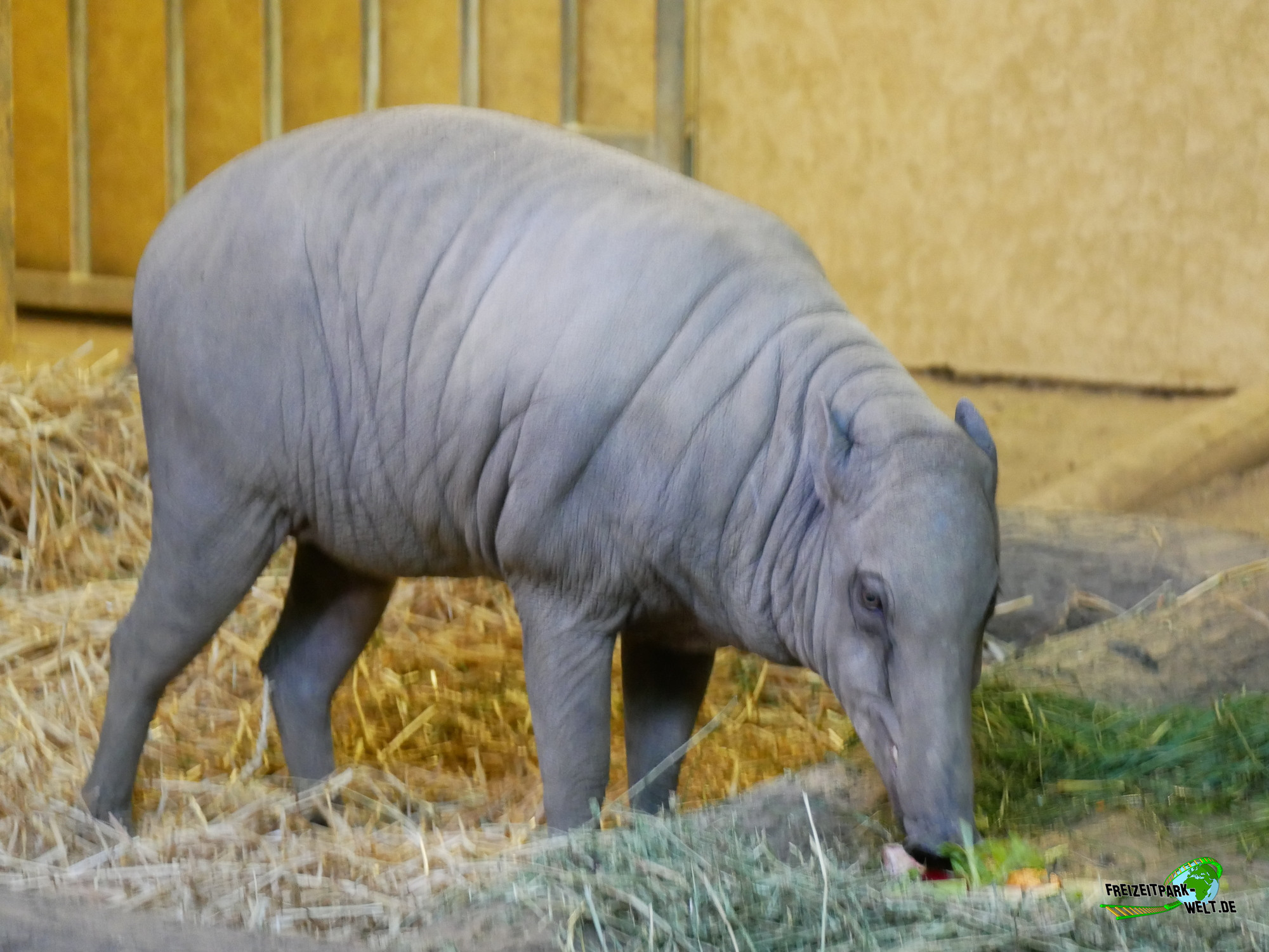Foto Galerien - Tiergarten Nürnberg | Freizeitpark-Welt.de