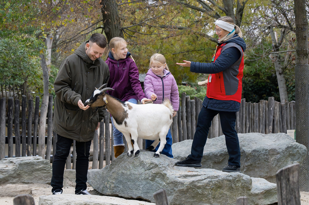 PA_Team Zoo Aktiv1.jpg