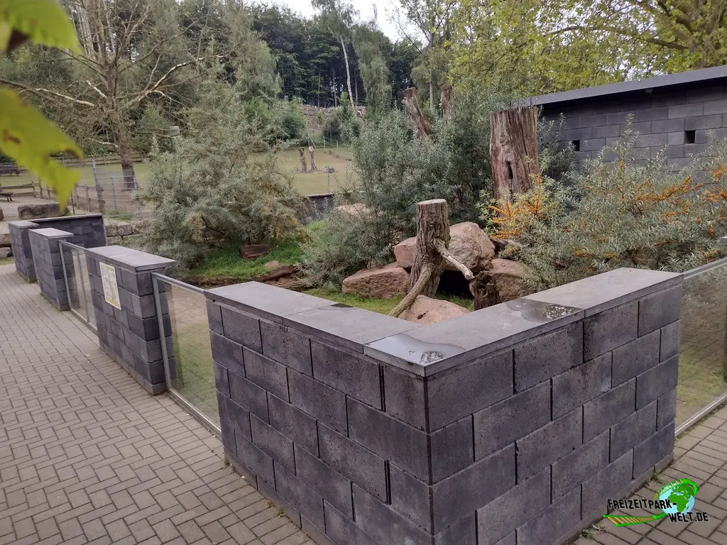 Erdmännchen im Tierpark Alsdorf - 2024: Das Gehege der Erdmännchen