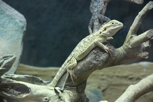 Tierpark + Fossilium Bochum Galerie