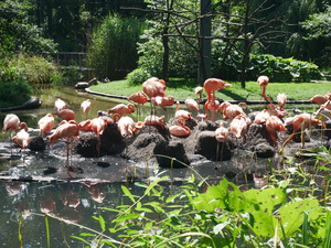 Teaserfoto Tierpark Cottbus