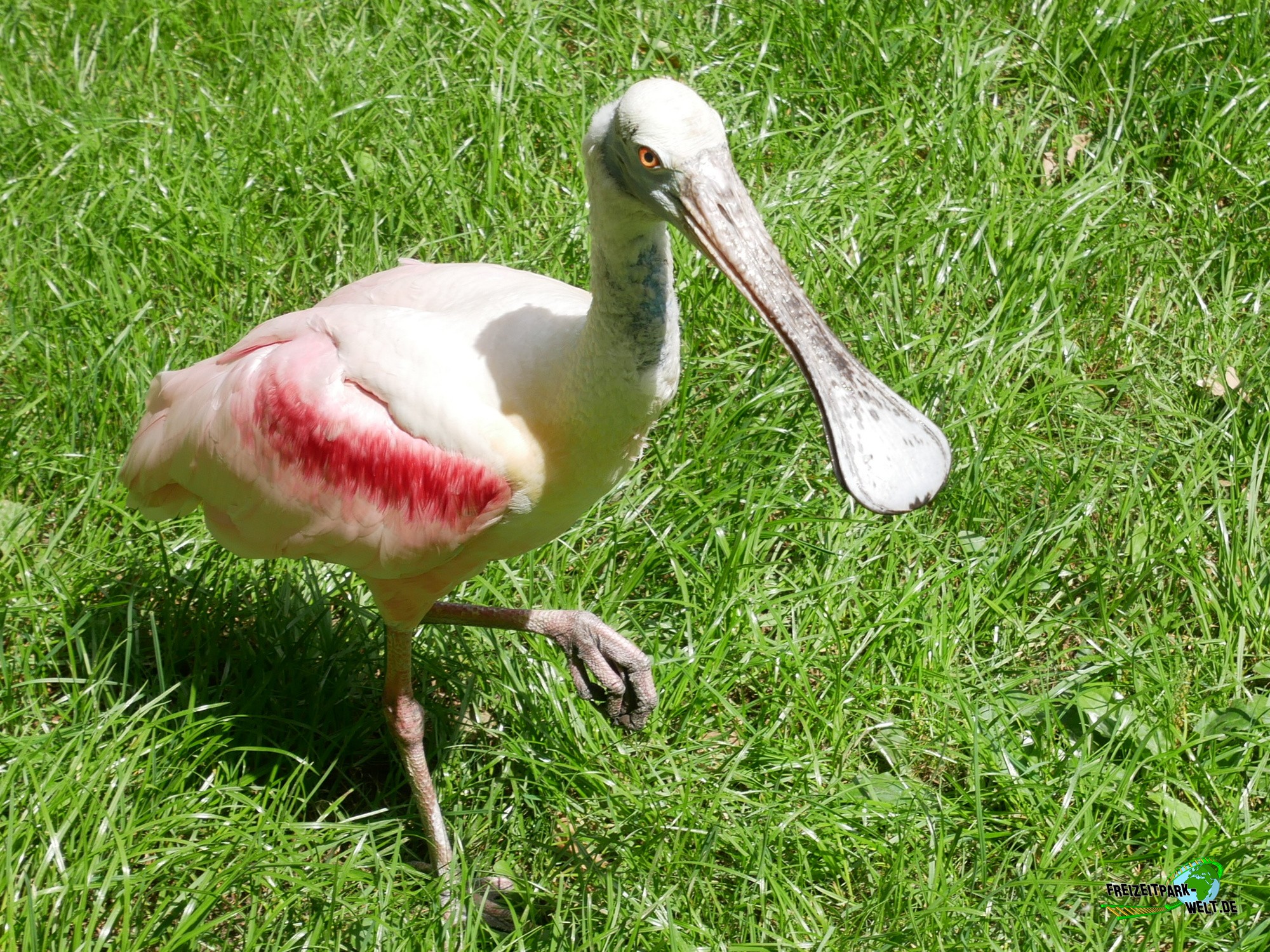 Foto Galerie 2020 Tierpark Cottbus FreizeitparkWelt.de