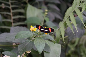 Mini-Galerie Tierpark Gettorf Foto 8