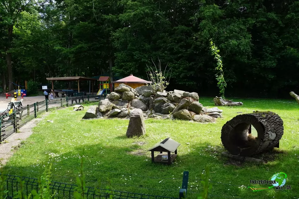 Streifenskunk im Tierpark Gettorf - 2015