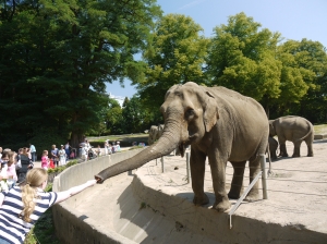 Teaserfoto Tierpark Hagenbeck