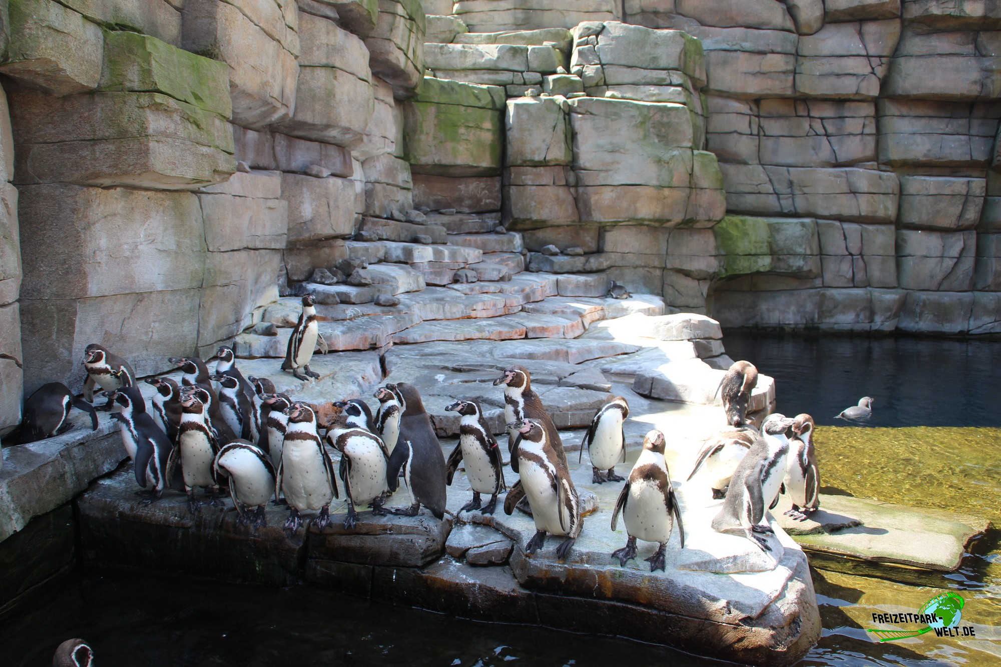 Eintrittspreise Tierpark Bergtierparks Webseite