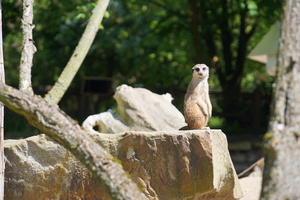 Teaserfoto Tierpark Hamm