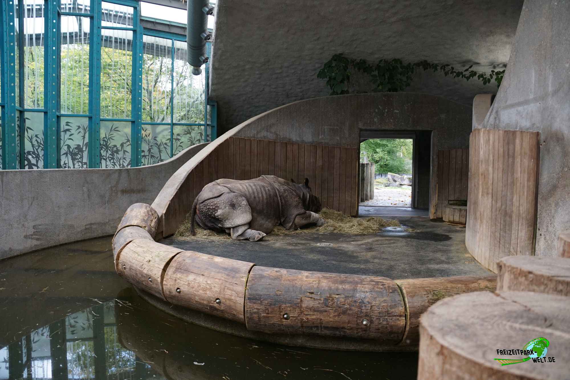 Panzernashorn - Tierpark Hellabrunn | Freizeitpark-Welt.de 