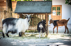 Mini-Galerie Tierpark Hellabrunn Foto 2