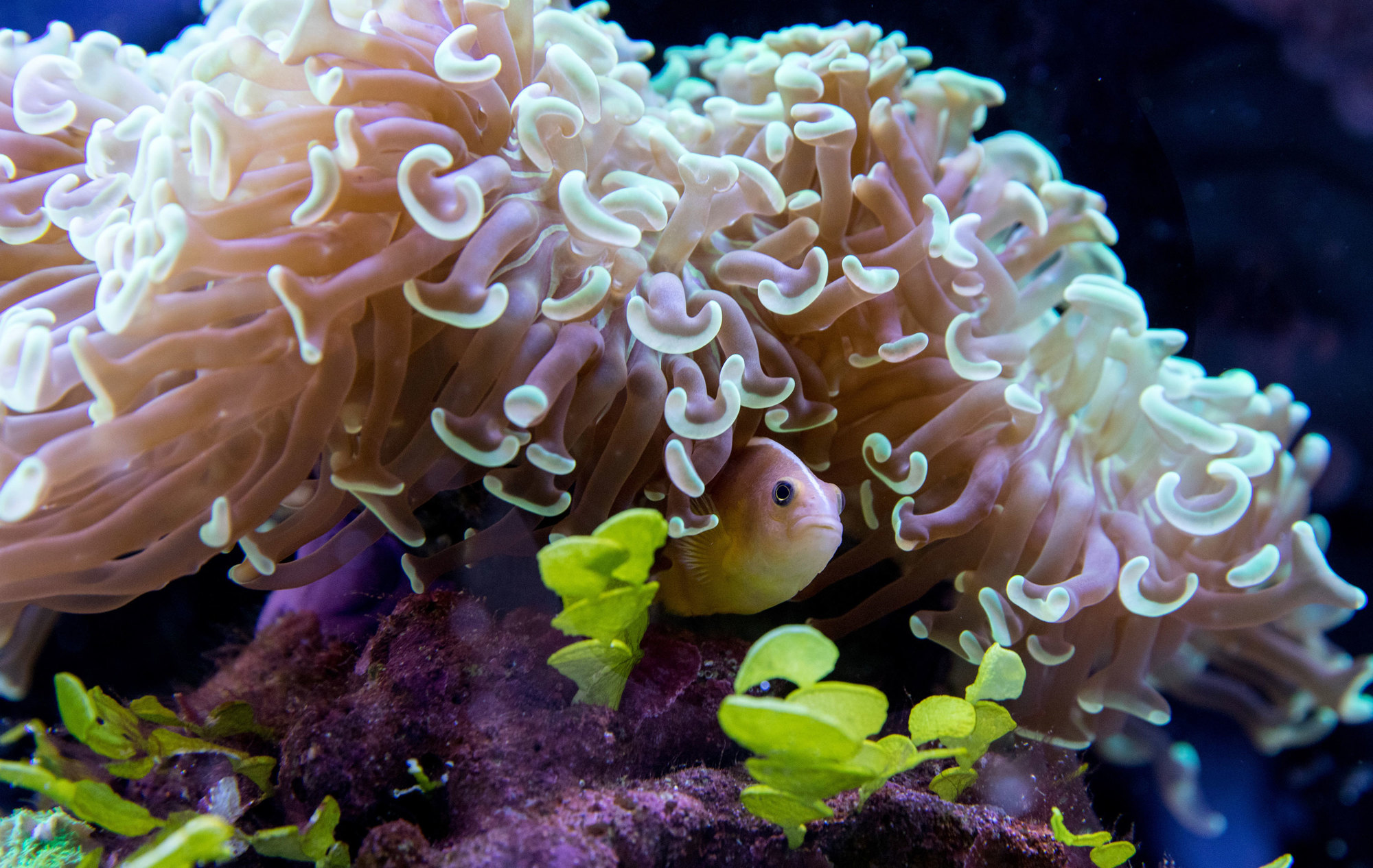 Hellabrunns bunte Unterwasserwelt Tierpark Hellabrunn