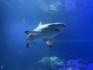 News Und Events Zoo Leipzig Freizeitpark Welt De