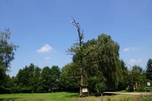 Teaserfoto Tierpark Nadermann