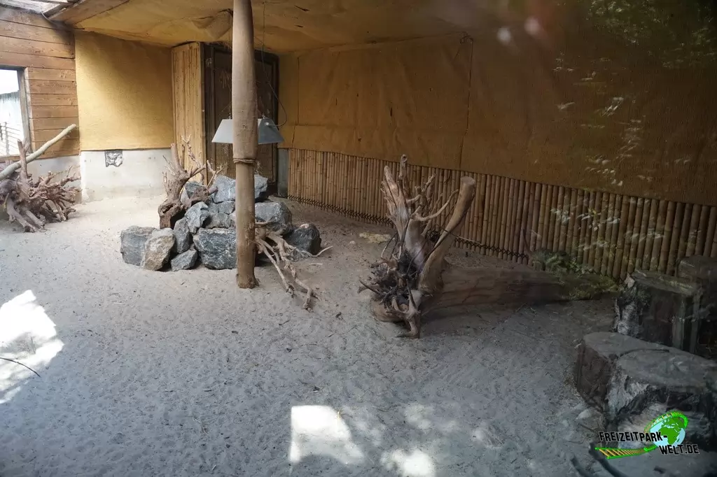 Erdmännchen im Tierpark Nadermann - 2016