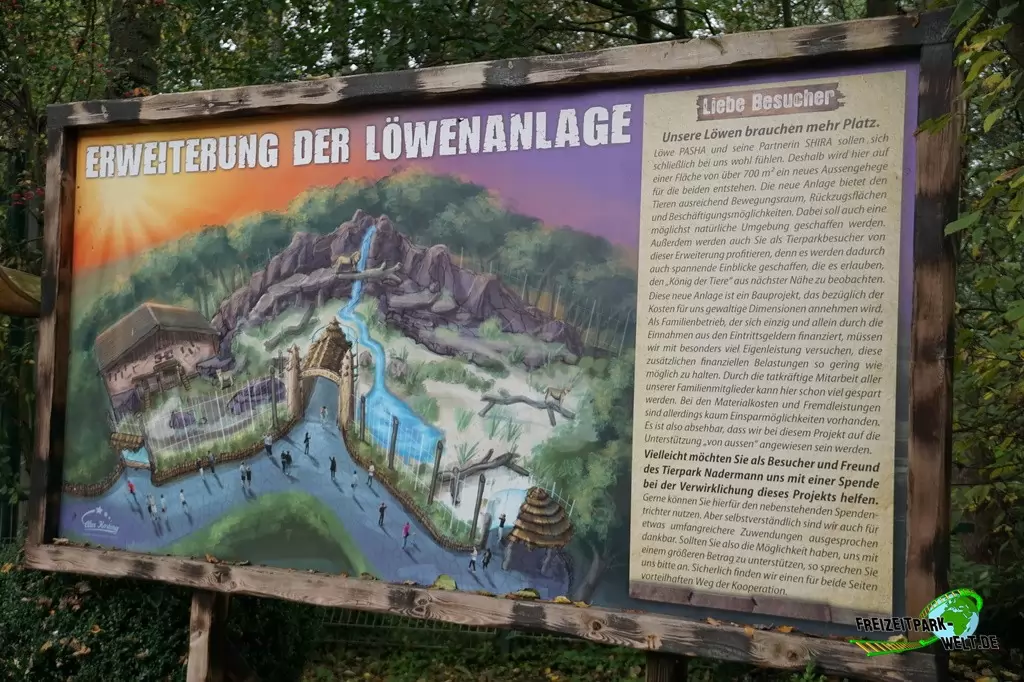 Berberlöwe im Tierpark Nadermann - 2017