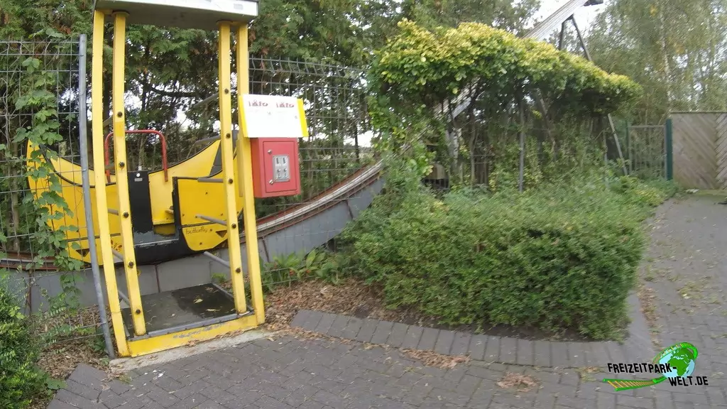 Butterfly im Tierpark Nadermann - 2017