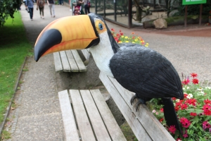 Mini-Galerie Weltvogelpark Walsrode Foto 5